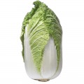 Chinese Cabbage 1pcs(Ireland Only)