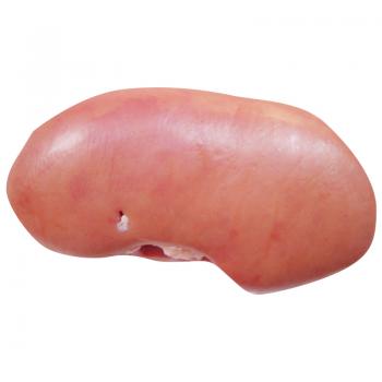 Fresh Pork Kidney 1pcs(Ireland Only)