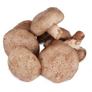 Fresh shiitake Mushroom 250g (Ireland Only)